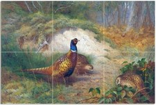Tile Mural Pheasant in a Late Autumn Woodland Kitchen Backsplash Marble Ceramic