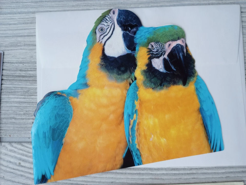 New Unused Blank Note/All-occasion Greeting Cards, Lot Of 7 W/Envelopes Parakeet - Image 2 of 4