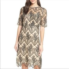 CAARA Black Lace Shift Dress M NWT Scalloped Overlay Tan Nude Slip Cocktail New