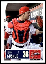 2018 Taylor Gushue Choice Minor League Rookie Harrisburg Senators