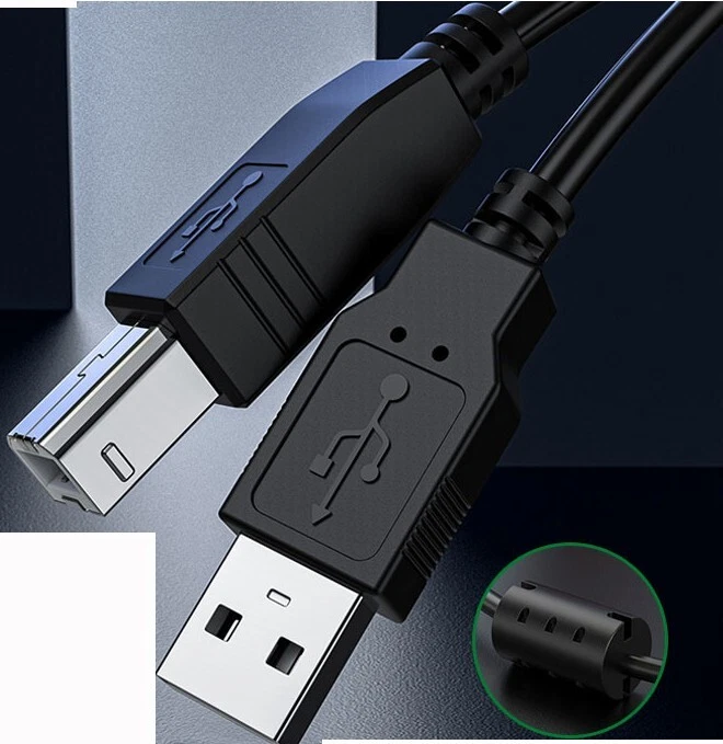 Canon : Manuali PIXMA : PRO-1 series : Collegamento della stampante al computer tramite un cavo USB