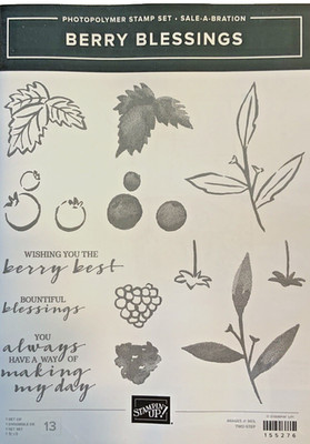 Stampin Up Stamp Set BERRY BLESSINGS  Retired NEW