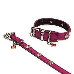 rosewood dog collars and leads