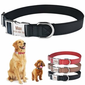 identity dog collars