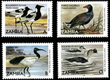 Zambia #Mi1068II/#Mi1257-Mi1259 MNH 2001 Plover Duck Ibis Gallinule [927-930]