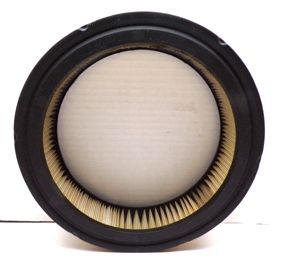 Filtro de aire Hastings AF4 para varios Jeep Dodge Chrysler Plymouth Foto 2 de 2