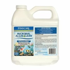 API Pond Care Pond Microbial Algae Clean Algae Control 64 oz. 269D