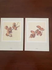 Vtg Set 2 Swissair Menu June 1985 MINT Switzerland to N America Business Class