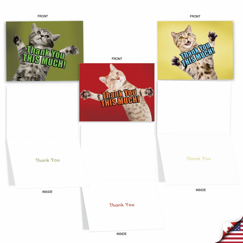 10 tarjetas de notas de agradecimiento surtidas con sobres - CAT BIG THANKS M2368TYG Foto 3 de 4