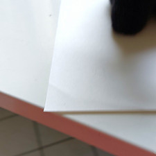 "Steiff Katze" Stofftier schwarz/wei&szlig; roteSchleife, Knopf/Fahne, 1974 1493/14