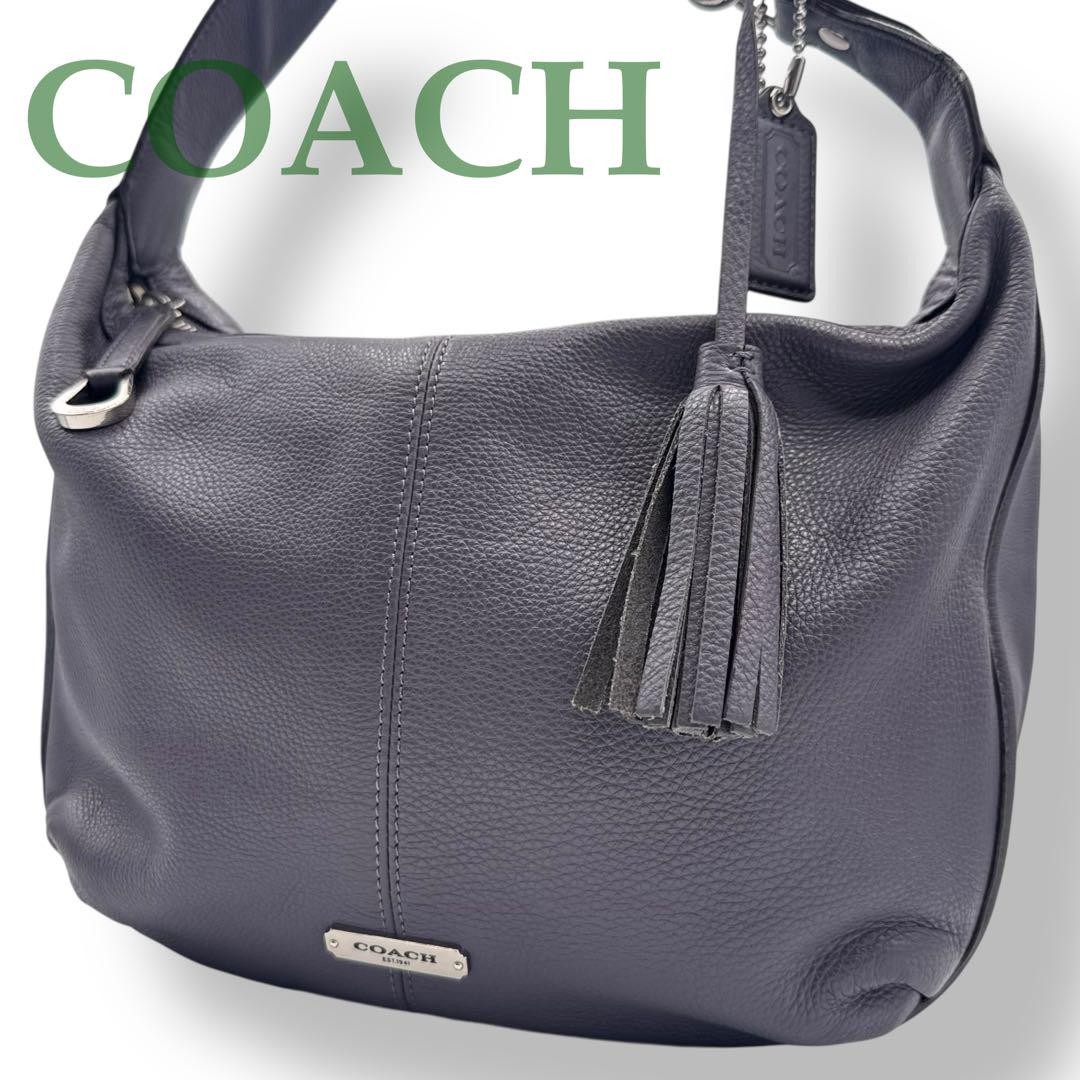 COACH Purple Grain Leather One-Shoulder Bag with Tassels Style PC082Q