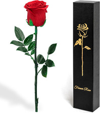 Single Preserved Red Rose in Box Vase   Real  Artificial Eternal Rose Gift for