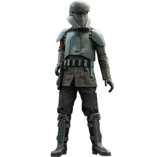 Hot Toys the Mandalorian Transport Trooper Star Wars TMS030 1/6 Scale New