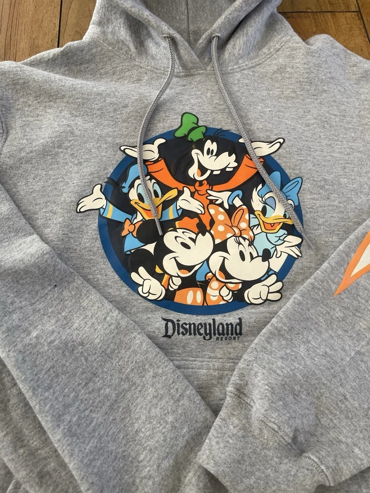 Sudadera con capucha gris Disneyland 2023 talla pequeña Foto 2 de 4