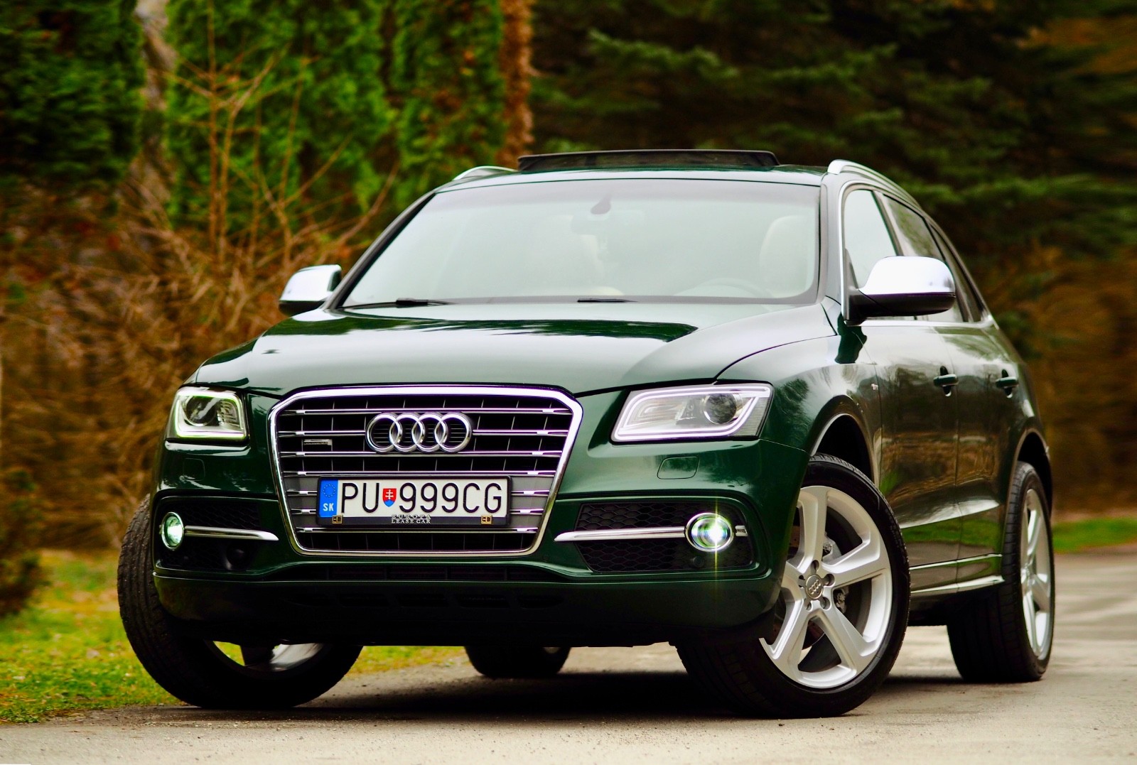 AUDI Q5 3.0 TDi QUATTRO AUDI EXCLUSIVE S-LINE-GOODWOOD VERDE PERLA