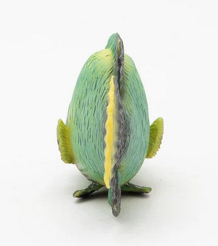 Napoleon Fish (Humphead Wrasse) - Marine Wildlife Nature Toy Napoleon Fish (Humphead Wrasse) - Marine Wildlife Nature Toy