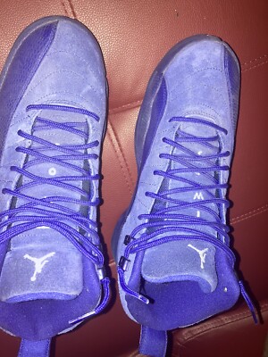 jordan 12 All Blue Used Good Condition Size 8 | eBay display picture 1