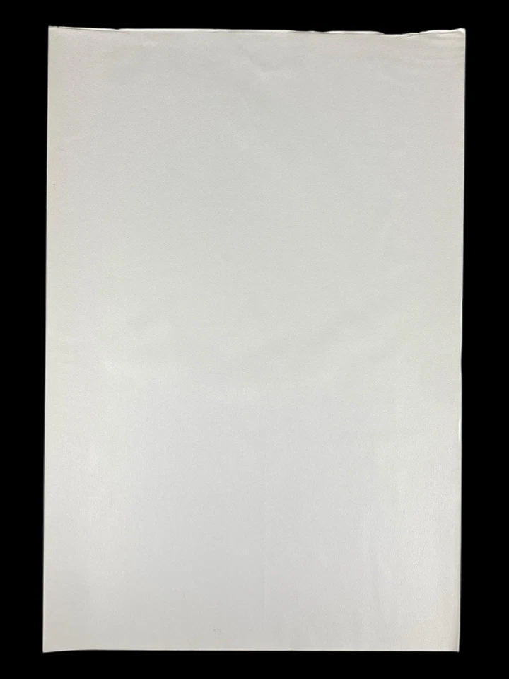 Licor de malta clásico Schmidt Golden Hawk años 80 impresión publicitaria 18x12 Foto 2 de 2