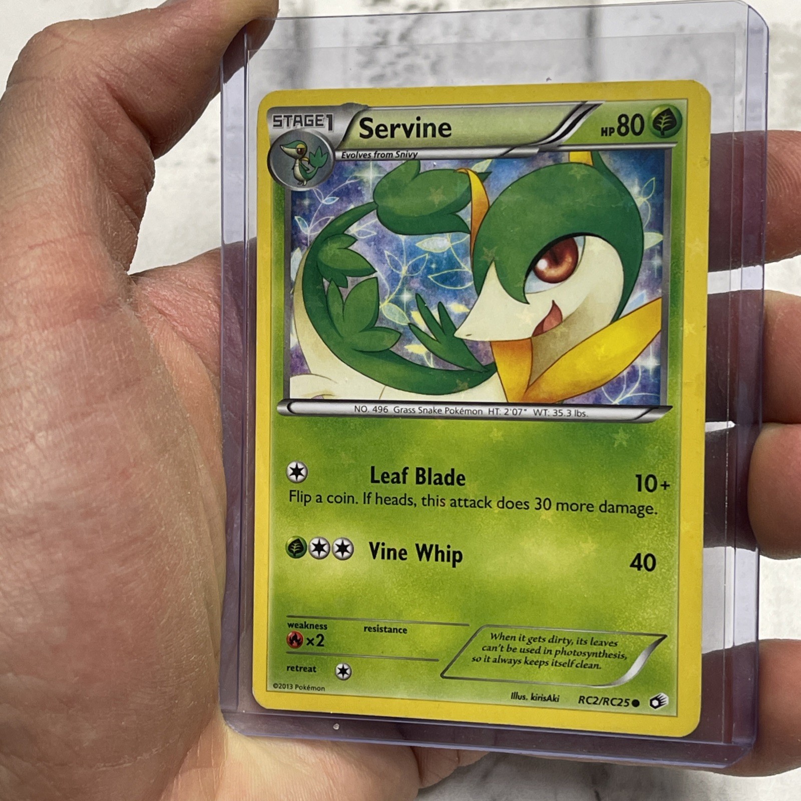 Servine RC2/RC25 Legendary Treasures: Radiant Collection Holo LP Pokémon Common
