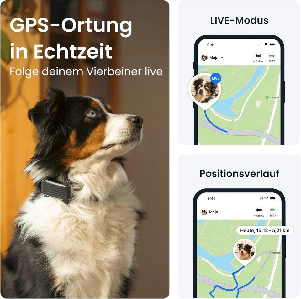 GPS Tracker für Hunde | 2025 Edition | Echtzeit-Ortung und Gesundheitstracking - Bild 4 von 4