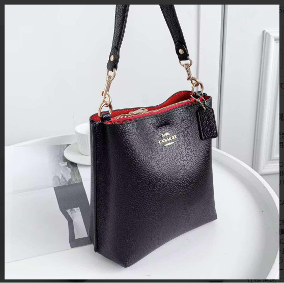 COACH CA177 Mollie Bucket Bag 22 Double Face Leather Black Outlet 