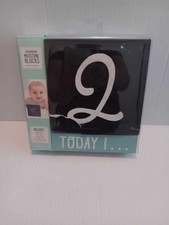 Stepping Stones Chalkboard Milestone Blocks Photo Announcement Prop Baby Picture