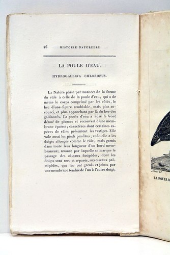 Histoire Naturelle de BUFFON dans un nouvel ordre Tome 33 Planches Paris 1826 - Picture 4 of 10