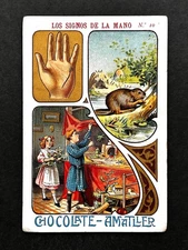 1900 Art Nouveau Palm Reading Teching #10 Card  Fortune Telling Palmistry Occult