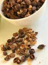 ? Qishr Tea | Herbal Coffee Husk  -Yamani coffee Skin Cascara 200g