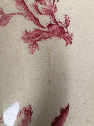 12 assiettes creuses Gien modèle cactus rouge - Imagen 10 de 24
