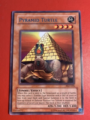Pyramidenschildkröte PGD-026 selten sehr gut auf LP