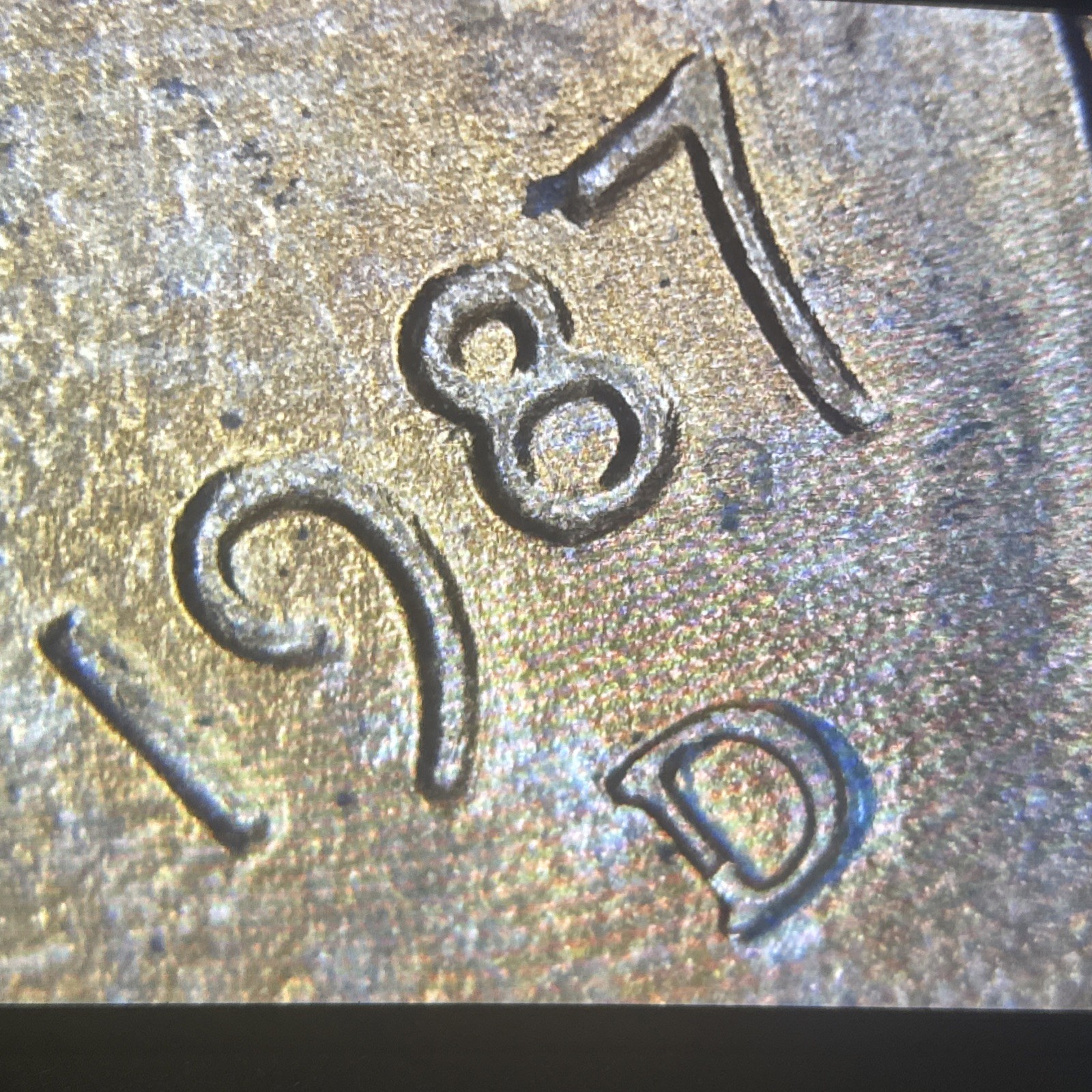 Picture 7 of 19