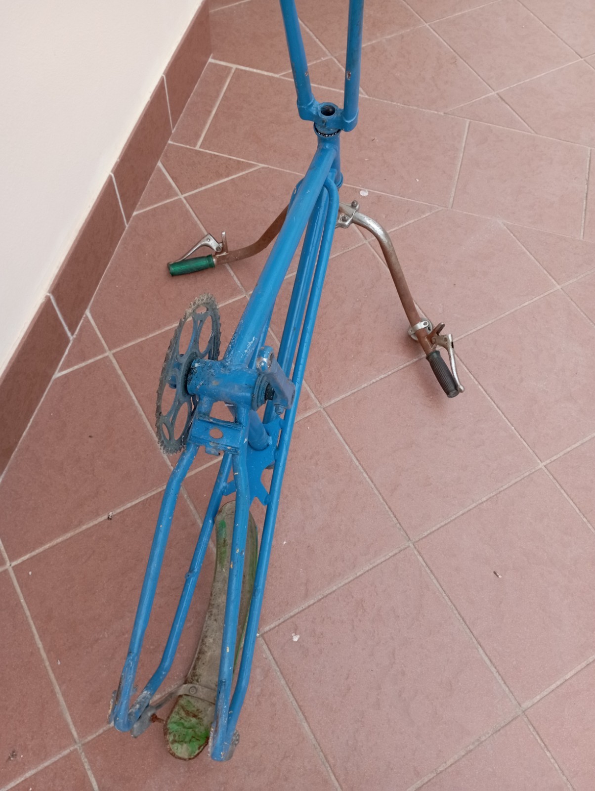 Foto 10 di 10