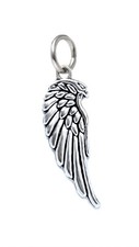 Alloy Steel Dangle Angel's Wing Charm Pendant Necklace