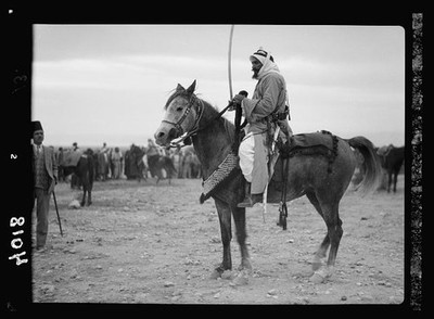 Sheik Abu Meddin,Arab Steed,Bedouin Life,Trans Jordan,Jordan,Middle East
