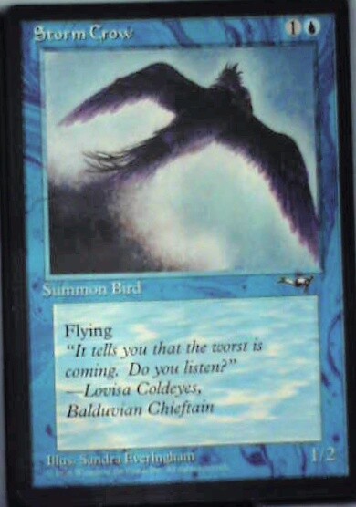 Storm Crow (Flying Right) - Alliances: #36a, Magic: The Gathering