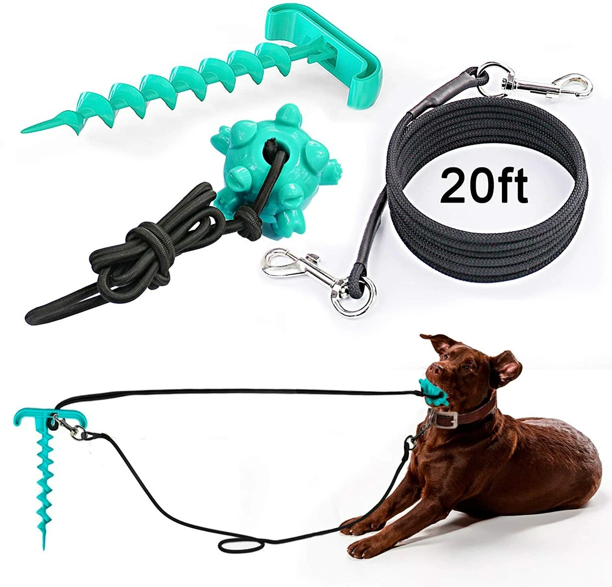 Dog Tie Out Cable Stake 20ft for Dogs Up to 110lbs Camping