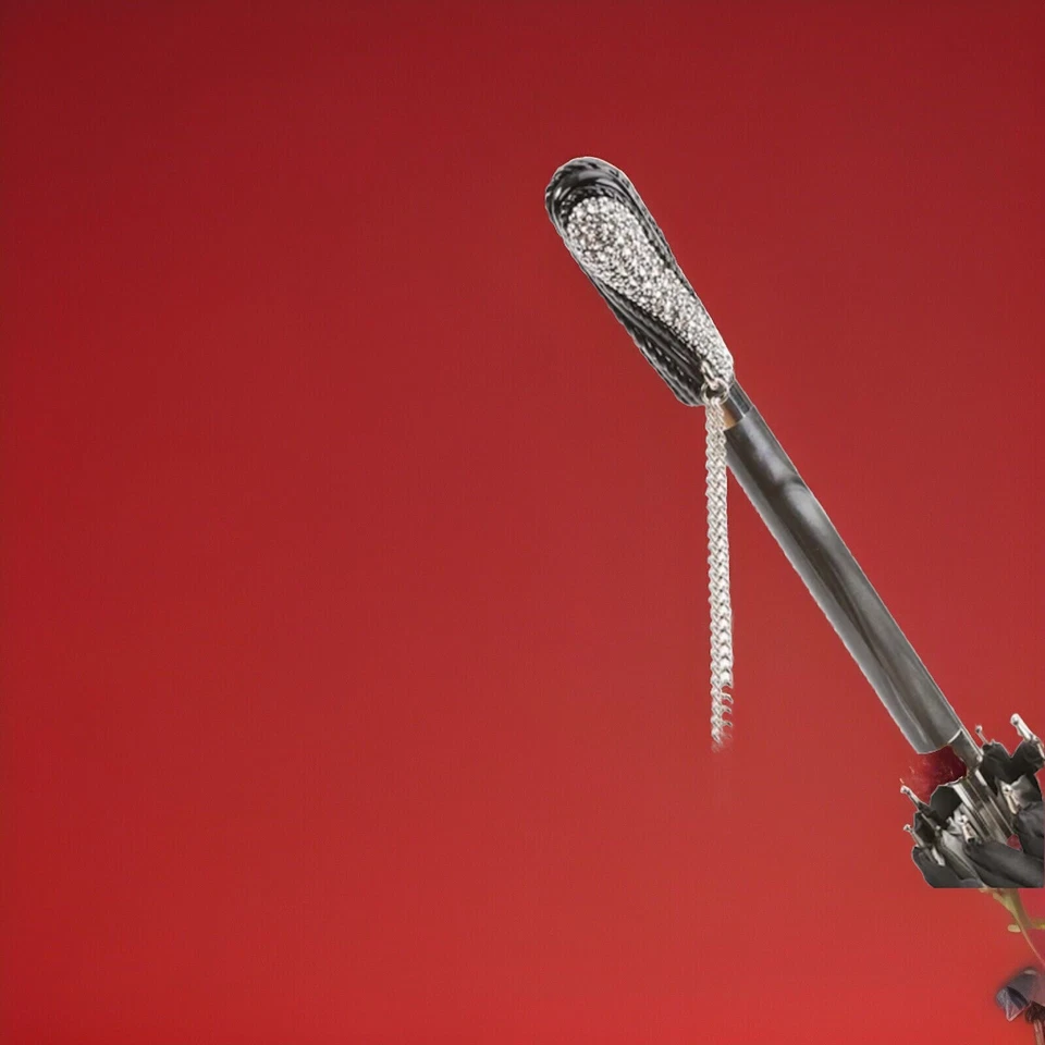 Paraguas Pasotti con cristales de Swarovski Foto 2 de 2