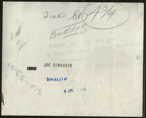 1947 Type 1 Joe DIMAGGIO, NY YANKEES Baseball Vintage Original Media Photo - Picture 2 of 2