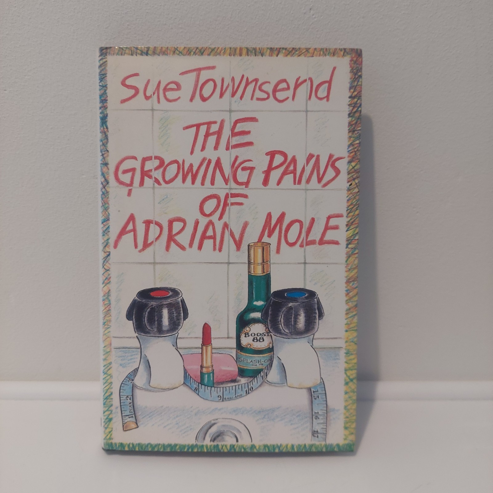 THE GROWING PAINS OF ADRIAN MOLE Sue Townsend 1984 HARDCOVER SIGNED 1ST EDITION