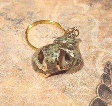 Sea Shell Keychain Natural Ocean Shell Green Gold FREE SHIPPING