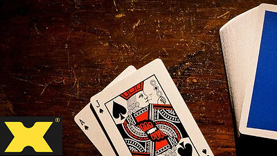 トランプ ACE FULTON'S CASINO Ace Fulton's Casino 2019 (Classic Blue) Playing Cards by