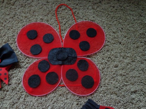 LADYBUG red/black outfit EUC dress up educational fun w/skirt, wings, & hat - Picture 3 of 4