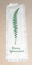 Altes Lesezeichen, Ebony Speenwort, USA, Stoff, Gewebe, ca.5 x 15 cm, etwa 1960