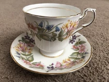 Gorgeous Paragon England  Teacup & Saucer Country Lane Scalloped Floral