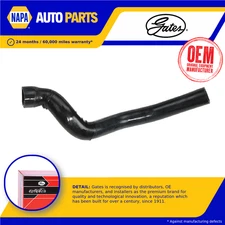 Radiator Hose fits RENAULT R11 371 1.1 Lower 83 to 86 Coolant Gates 7700752184