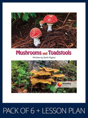 WorldWise Guided Reading Pack Level 15-16, Pack 2: Student book (x6) and lesson 