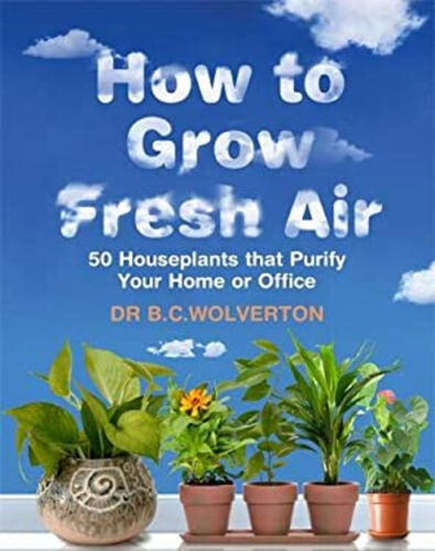 How To Grandit Air Frais : 50 Plantes D'Intérieur That Purifier Votre Home Ou O' - Picture 1 of 2