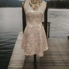 Ark And Co Fit And Flare T Back  / Silver Halter Dress Size Small NWT