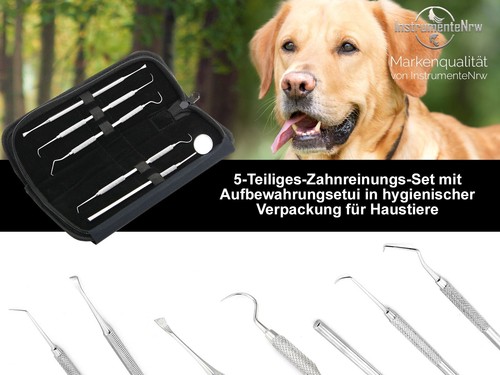 Zahnsteinentferner Set Zahnreiniger Zahnsonde Mundspiegel im Etui ☼☼☼ Premium - Bild 2 von 9